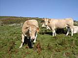 dscn4760.jpg