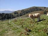 dscn4762.jpg