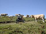 dscn4828.jpg