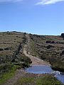 0310_lozere_047.jpg