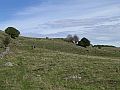 0310_lozere_089.jpg