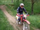 FEM_20060521_131404