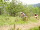 FEM_20060521_134010