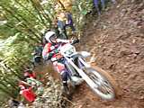 dscn5637.jpg