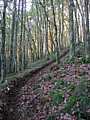 dscn5684.jpg