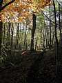 dscn5687.jpg