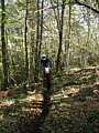 dscn5690.jpg
