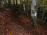dscn5691.jpg